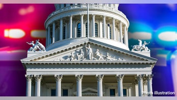 California is run by politicians who are '100% pro-criminal,' 30-year law enforcement veteran says