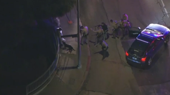 California suspect gets sweater bitten off by K-9 after lengthy police chase