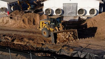 Chile culls whopping 40,000 poultry after detecting 1st bird flu case in the industry