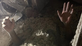Florida man hides in insulation debris to evade arrest for alleged burglary: 'Stuck in an itchy situation'