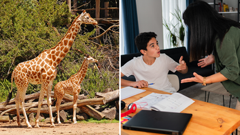 Reddit user's teen son calls manual labor 'gross menial work': Here's what the 'appalled' mom did next