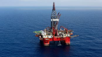 Oil giants offer $264M for Gulf of Mexico drilling rights