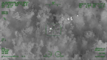 Florida deputies rescue missing elderly man with Alzheimer's in woods while searching for robbery suspect