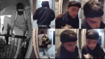 Video shows 3 men break into Texas apartment, steal $4,000 French bulldog