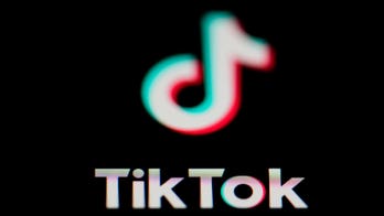 Chinese Embassy defends TikTok against potential forced sale in meeting with congressional staffers: report