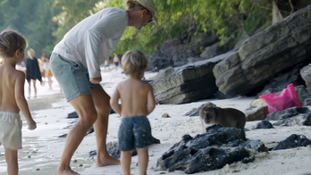 WATCH: Dad fights off aggressive monkeys in Thailand after they lunge at family