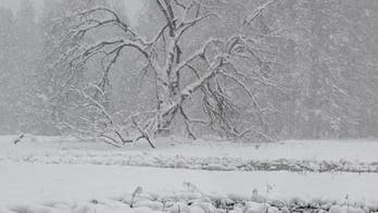 Yosemite National Park closed indefinitely amid extreme weather onslaught