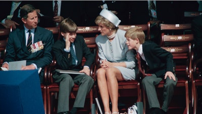 Prince Harry's possible Diana film is 'grenade' at Prince William's feet: expert - Fox News