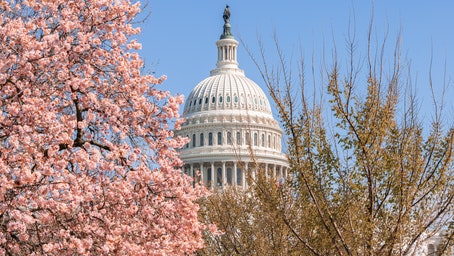 On this day in history, March 27, 1912, Washington, D.C., cherry trees planted, gift from people of Tokyo