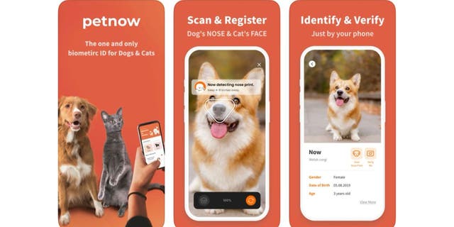 Petnow app ad with three photos of dogs