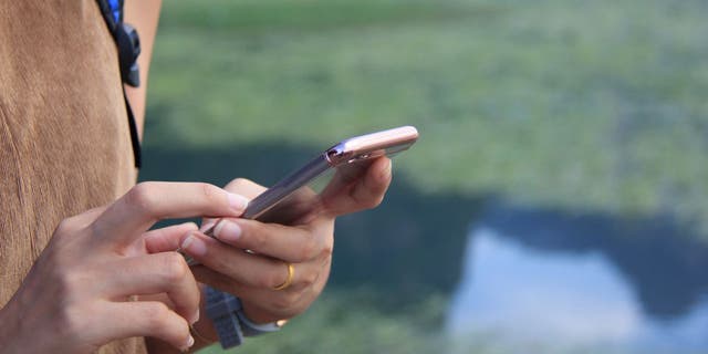 Complaints about scam text messages have increased from 3,300 complaints in 2015 to 18,900 in the last year, according to the FTC.