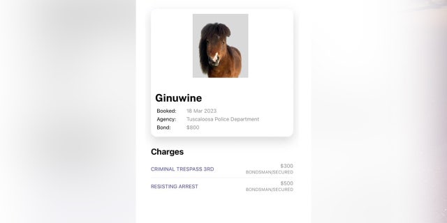 Ginuwine was eventual brought in on charges of resisting arrest and disorderly conduct.