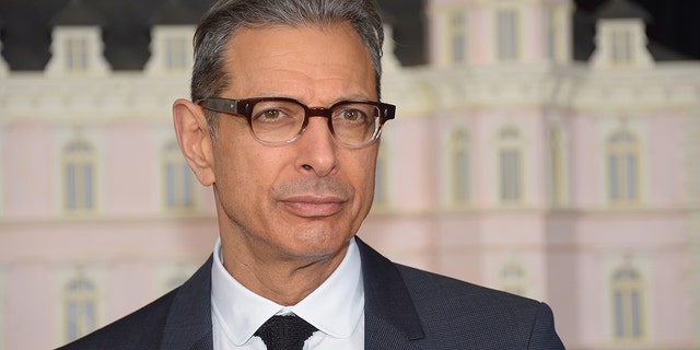 Jeff Goldblum at "THe Grand Budapest Hotel" premiere in New York