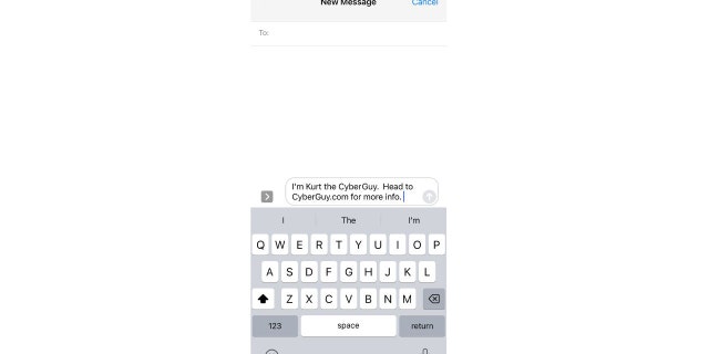 Type out a message in your iMessage app.