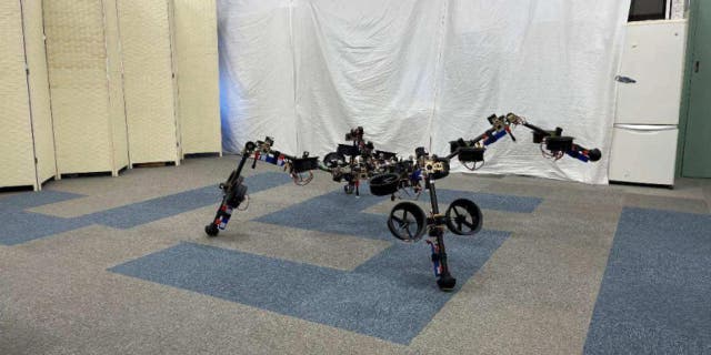 SPIDAR is a quadruped robot with joints for locomotion at the hip and knee joints of each leg.