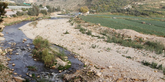 A view of a plantation and the Jerash stream that flows into the King Talal Dam near Jerash. 