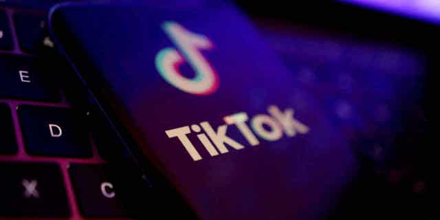 The TikTok app logo is seen in this illustration taken, August 22, 2022.