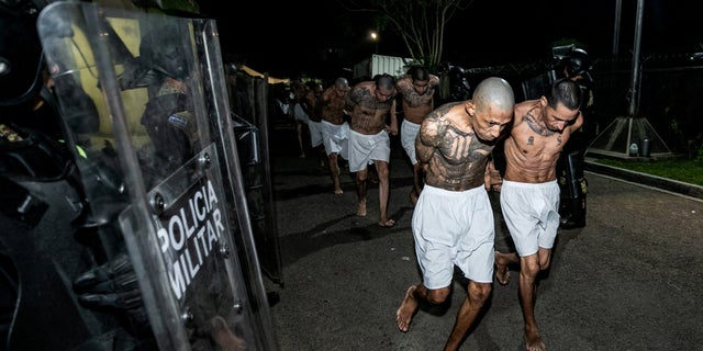 Gang members wait to be taken to their cell after 2,000 gang members were transferred to the Terrorism Confinement Center in Tecoluca, El Salvador, in this handout photo distributed to Reuters on March 15, 2023.