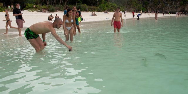 Tourists watch a newborn blacktip reef shark on the beach in Maya Bay in Phi Phi Island national park on Phi Phi Leh island, Krabi province, Thailand, February 25, 2023. Under pressure from tour operators, authorities reopened Maya Bay in January 2022 after a four-year delay Closure, and visitor and sales figures are steadily increasing again.