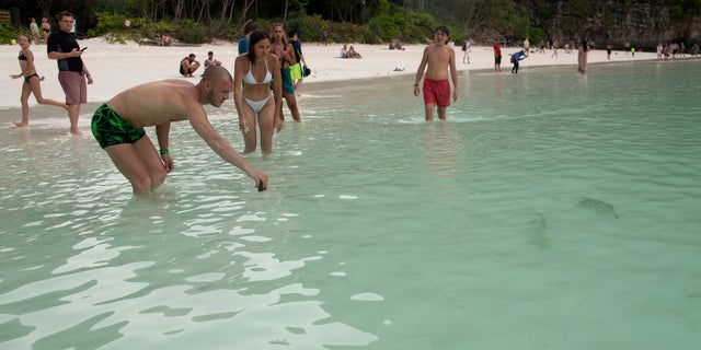 Tourists watch a newborn blacktip reef shark at the beach in Maya Bay at the Phi Phi Island National Park, on Phi Phi Leh Island, Krabi province, Thailand, Feb. 25, 2023. Under pressure from tour operators, authorities reopened Maya Bay in January 2022 after four years of closure, and visitor and revenue figures are once again rising steadily.