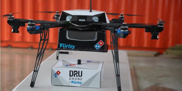 Flirtey drone with Domino's delivery.