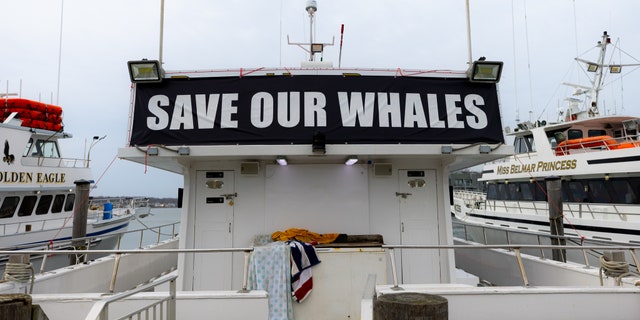 Whales New Jersey, New York, Save the Whales