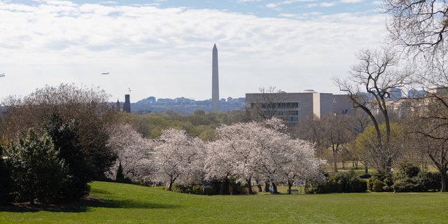 Washington monument in distance 