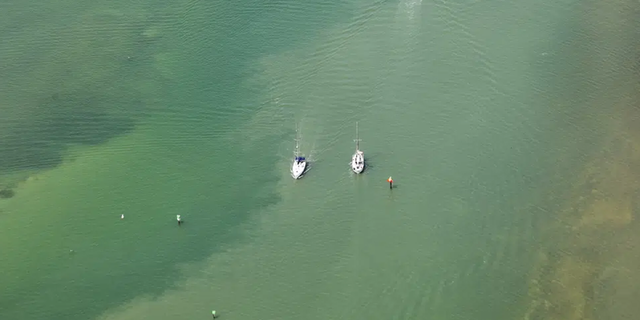 Red tide is observed at Clearwater Beach, Fla., during a flight with SouthWings volunteers on Friday, March 10, 2023.