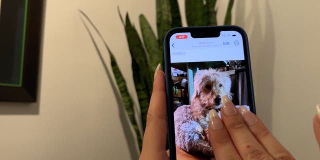 Swipe to the left of your iPhone screen using three fingers.