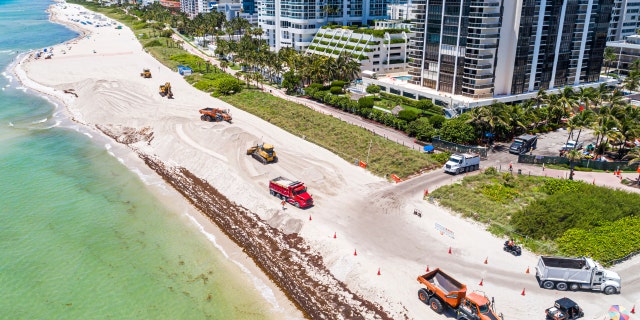 aerial view of beach in Miami Beach, FL