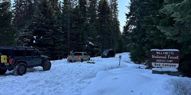 It was growing dark as the Lane County Sheriff's Search and Rescue assisted the motorists who were stranded after traveling down unmaintained roads at the Willamette National Forest.