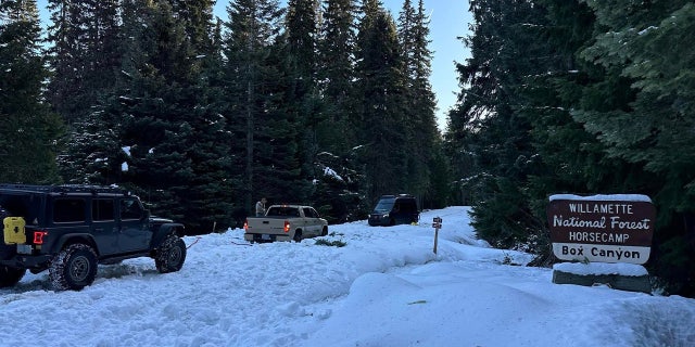 It was growing dark as the Lane County Sheriff's Search and Rescue assisted the motorists who were stranded after traveling down unmaintained roads at the Willamette National Forest.