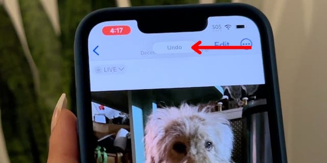 Then, tap Undo to take back the action.