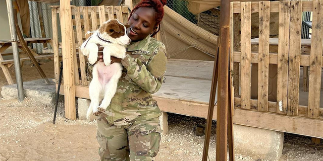 U.S. Army Specialist Fay holds up the puppy she found during her deployment to the Middle East.