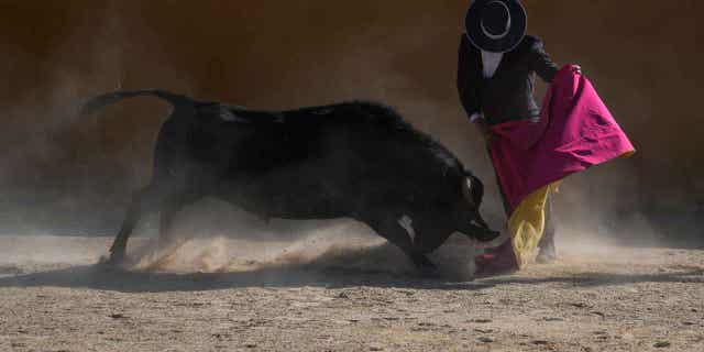 Bullfighter Sebastian Vargas performs a pass in Villa Pinzón, Colombia, on Feb. 25, 2023. Colombia is one of just eight countries where bullfights are still legal, but legislators are proposing a law to ban them.