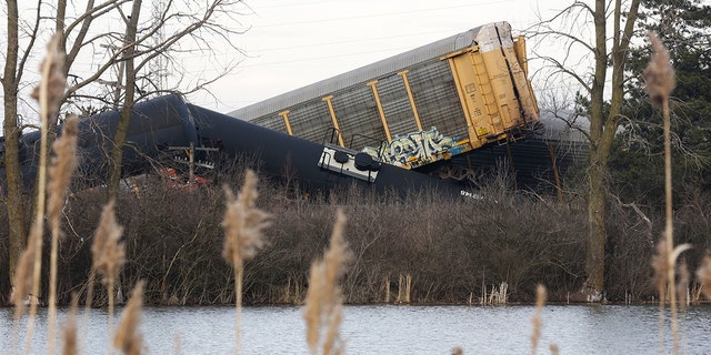 Another Norfolk Southern cargo train derailed Saturday, this time near Springfield in Clark County, Ohio. 