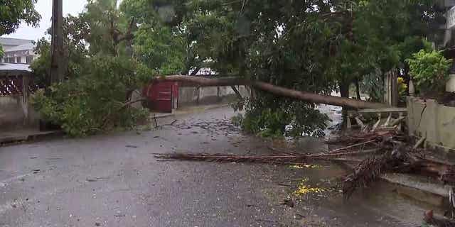 A tree lays across a street in Quelimane, Mozambique, on March 12, 2023. Record-breaking Cyclone Freddy made its second landfall in Mozambique and Malawi on Saturday night killing at least 44 people.