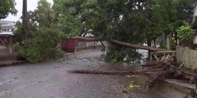 A tree lies across a street in Quelimane, Mozambique, on March 12, 2023. Cyclone Freddy, which is very successful, made a second landfall in Mozambique and Malawi on Saturday night killing at least 44 people.