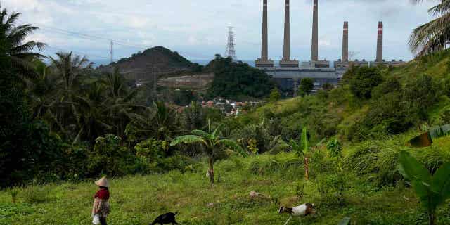 Una mujer conduce a sus cabras mientras la planta de energía a carbón de Suralaya ondea en el fondo en Cilegon, Indonesia, el 8 de enero de 2023. El jefe de las Naciones Unidas ha pedido a los científicos que inventen "Hechos duros y fríos" Eso impulsaría a los gobiernos a adoptar políticas que limiten el cambio climático antes de cruzar el umbral del calentamiento global.