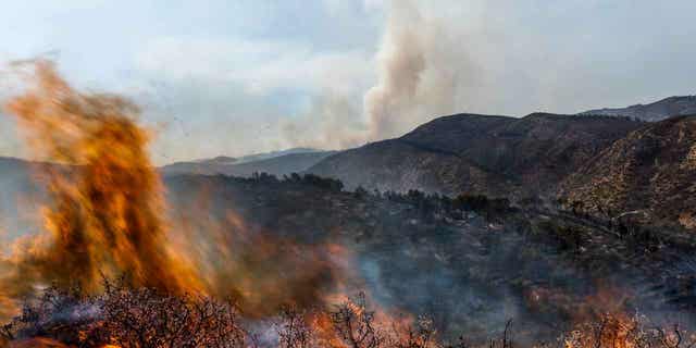 A fire burns near Altura, Spain on August 19, 2022. Spain has officially entered a long-term drought and is likely to face another year of heatwaves and forest fires.