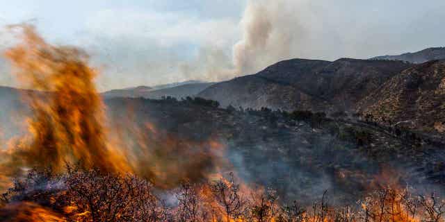 A wildfire burns near Altura, Spain, on Aug. 19, 2022. Spain has officially entered a period of a long-term drought and is likely faces another year of heatwaves and forest fires.