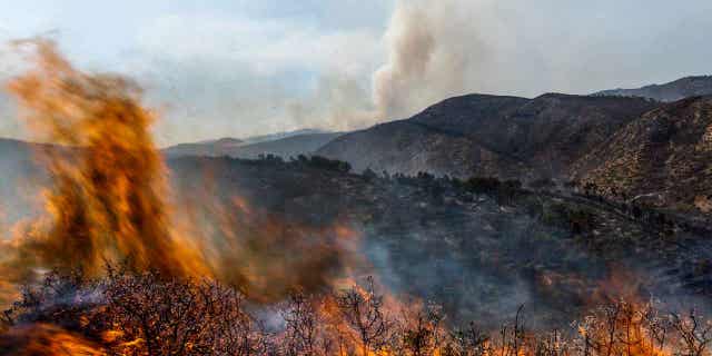 A fire burns near Altura, Spain on August 19, 2022. Spain has officially entered a long-term drought and is likely to face another year of heatwaves and forest fires.