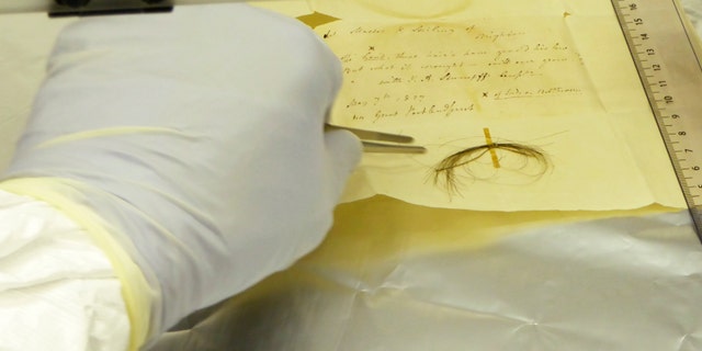 This photo provided by researchers in March 2023, shows the Stumpff Lock, from composer Ludwig van Beethoven, in a laboratory at the Max Planck Institute for the Science of Human History in Germany.