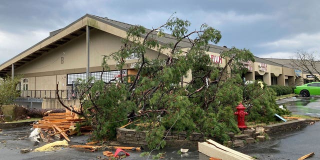 A building is damaged and trees are down after severe storm swept through Little Rock, Ark., Friday, March 31, 2023.