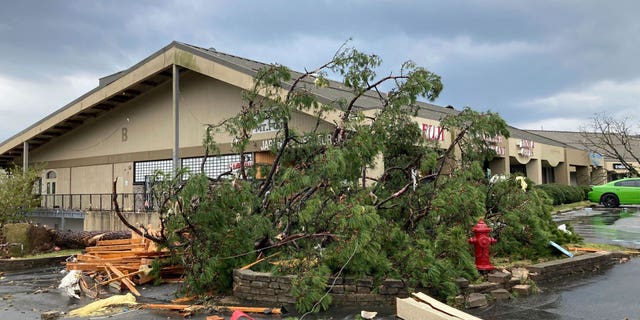 A building is damaged and trees are down after severe storm swept through Little Rock, Ark., Friday, March 31, 2023.