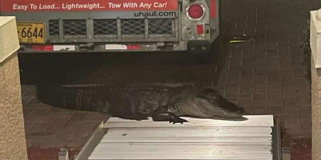 The man said he had heard a noise before the door.