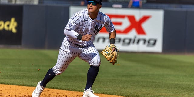 New York Yankees Anthony Volpe at 2nd base in the top of the 5th inning while playing the Washington Nationals during a spring training game at George Steinbrenner Stadium in Tampa, Florida, on March 1, 2023.