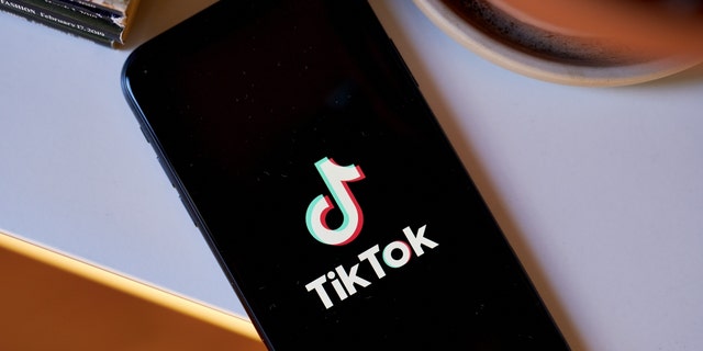 Logo TikTok pada smartphone ditata di wilayah Brooklyn, New York, pada Kamis, 9 Maret 2023.