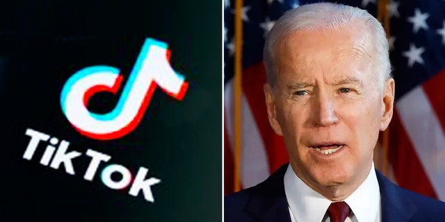 President Joe Biden has received criticism for his use of TikTok and other apps owned by the Chinese company ByteDance. 
