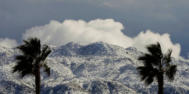 Two palms trees are backdropped by snow-covered mountains in Hesperia, Calif., Wednesday, March 1, 2023. 